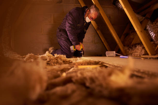 Best Attic Insulation Installation  in Blakely, GA